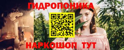 твердый Будённовск