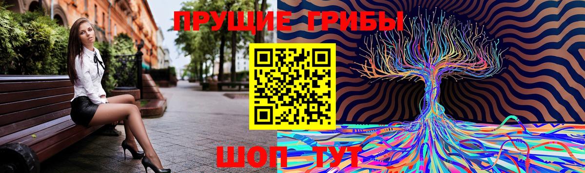 Псилоцибиновые грибы MAGIC MUSHROOMS  Вход с VPN  Смоленск  Псилоцибиновые грибы Psilocybine cubensis 